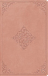 ESV Large Print Value Personal Size - River Stone 